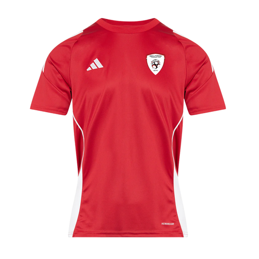 Ballyoran FC Adidas Tiro T-Shirt