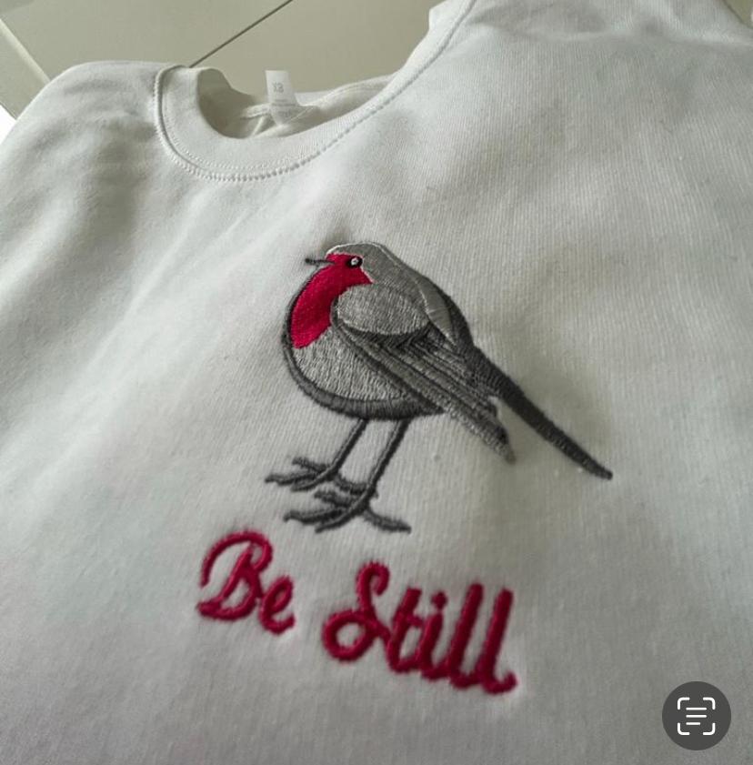 Be Still Pink Robin Hoodie
