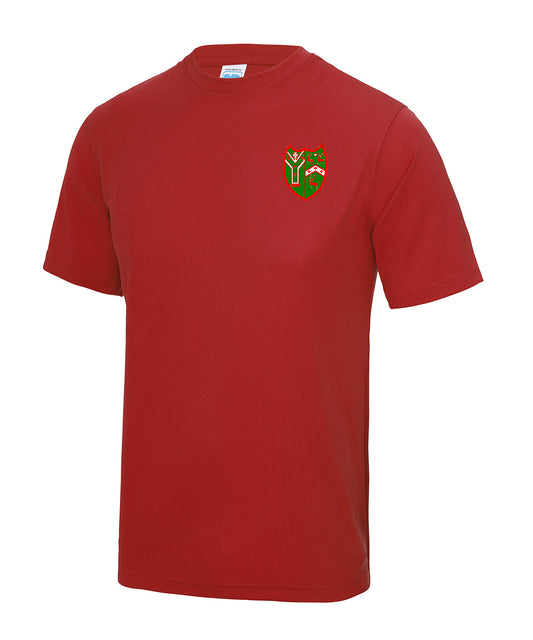 Lisnadill PS T-Shirt