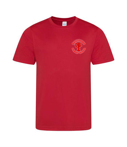 Ballydown P.S T-Shirt